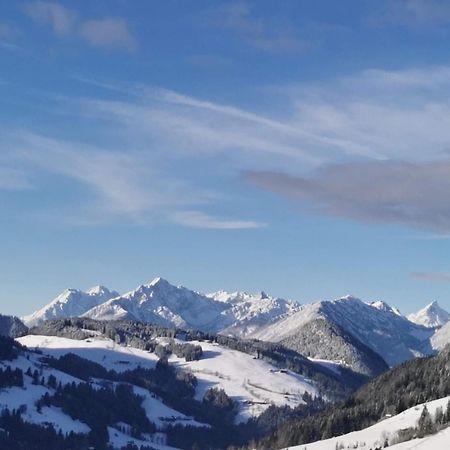 Alpbachblick Daire Dış mekan fotoğraf