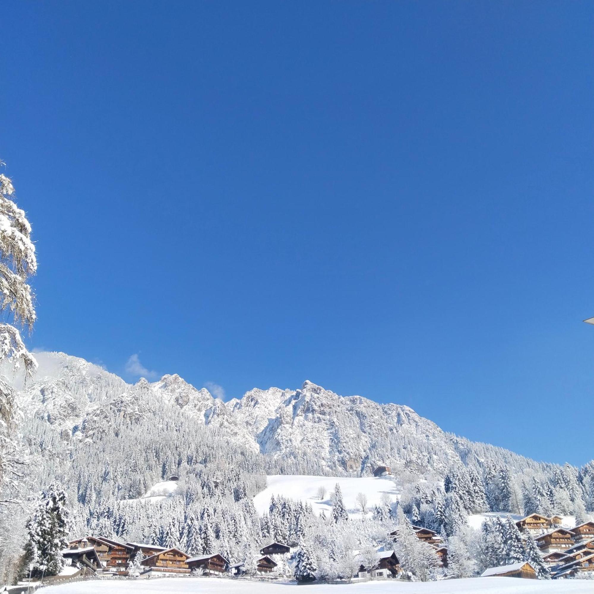 Alpbachblick Daire Dış mekan fotoğraf