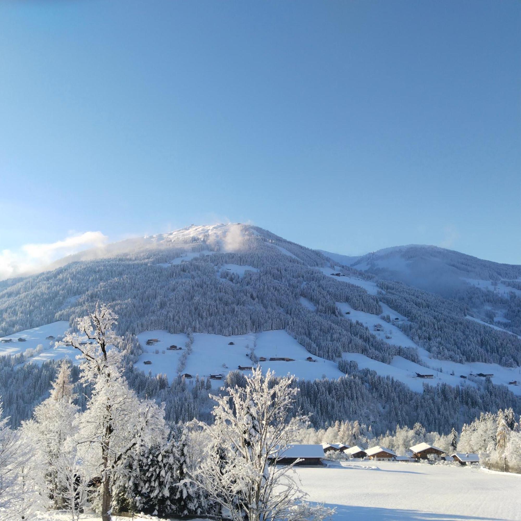 Alpbachblick Daire Dış mekan fotoğraf