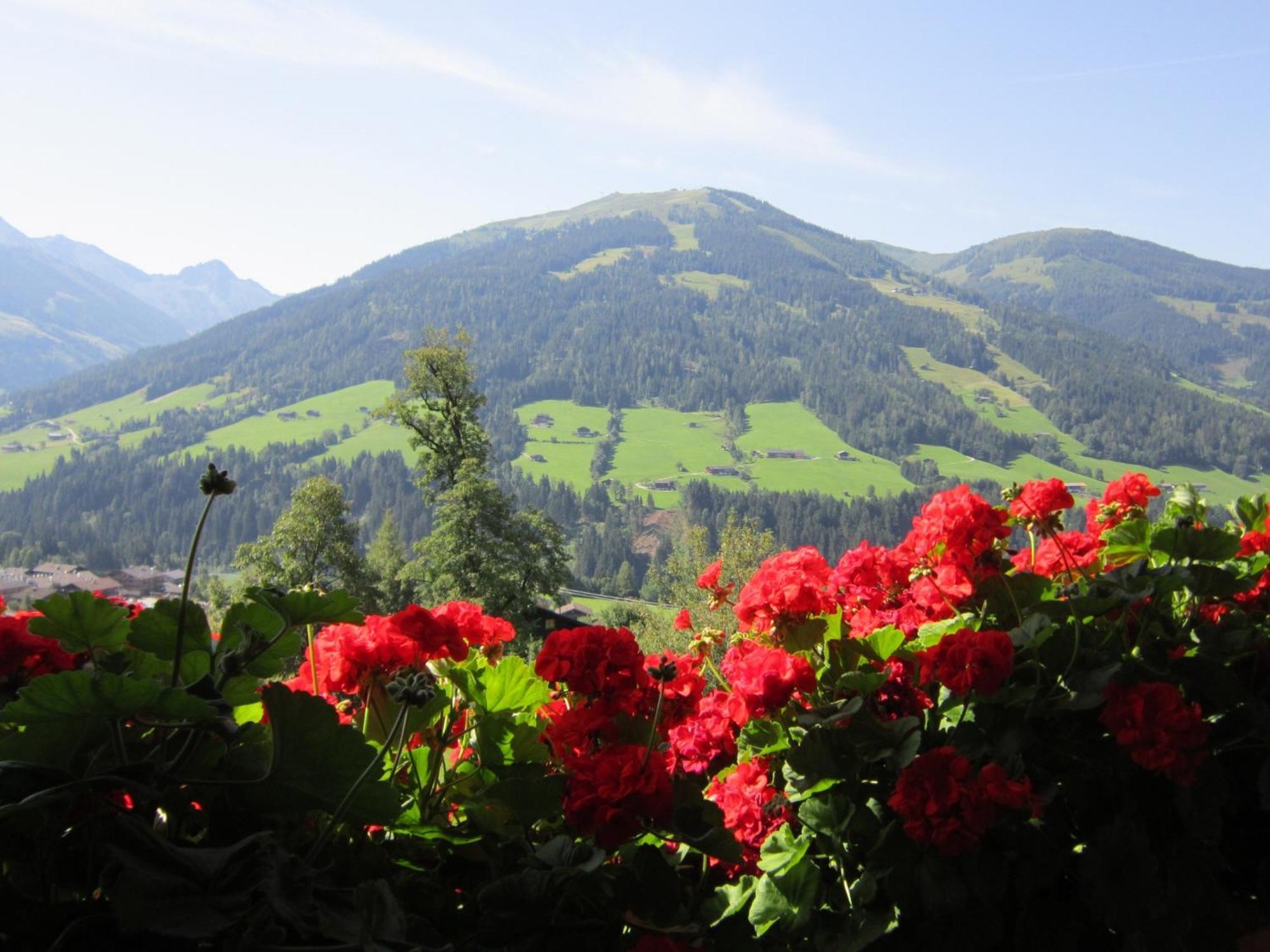 Alpbachblick Daire Dış mekan fotoğraf