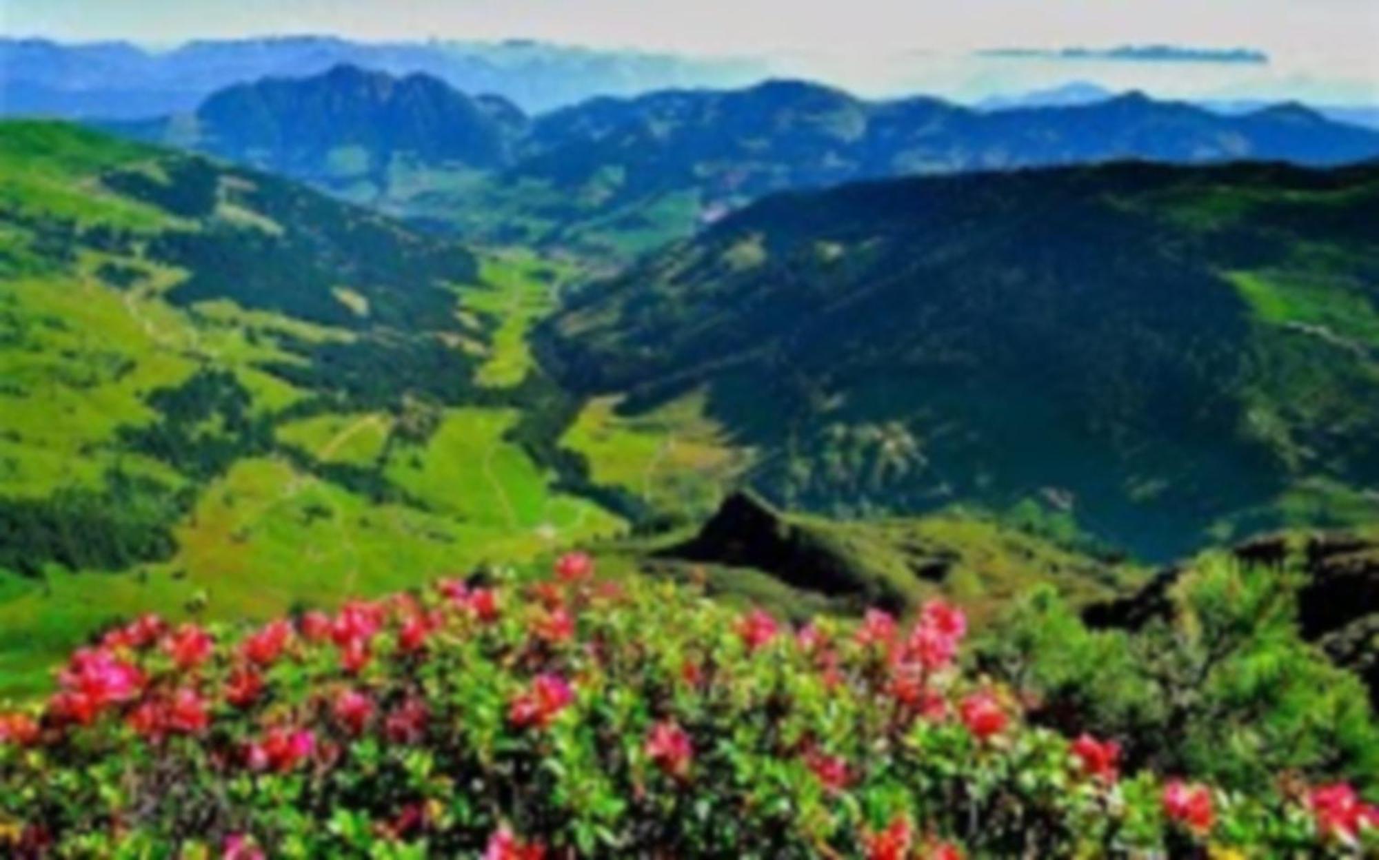 Alpbachblick Daire Dış mekan fotoğraf