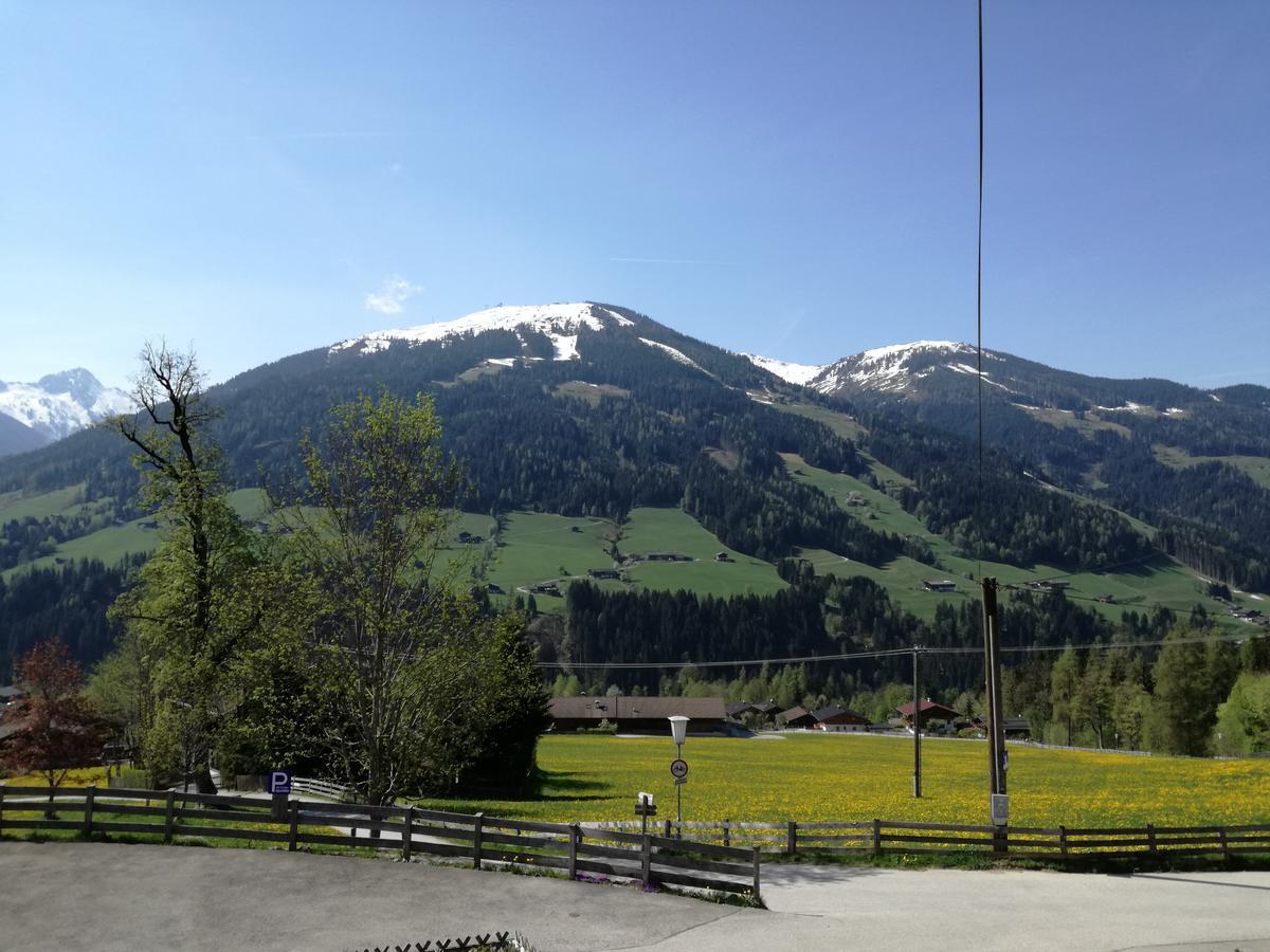 Alpbachblick Daire Dış mekan fotoğraf