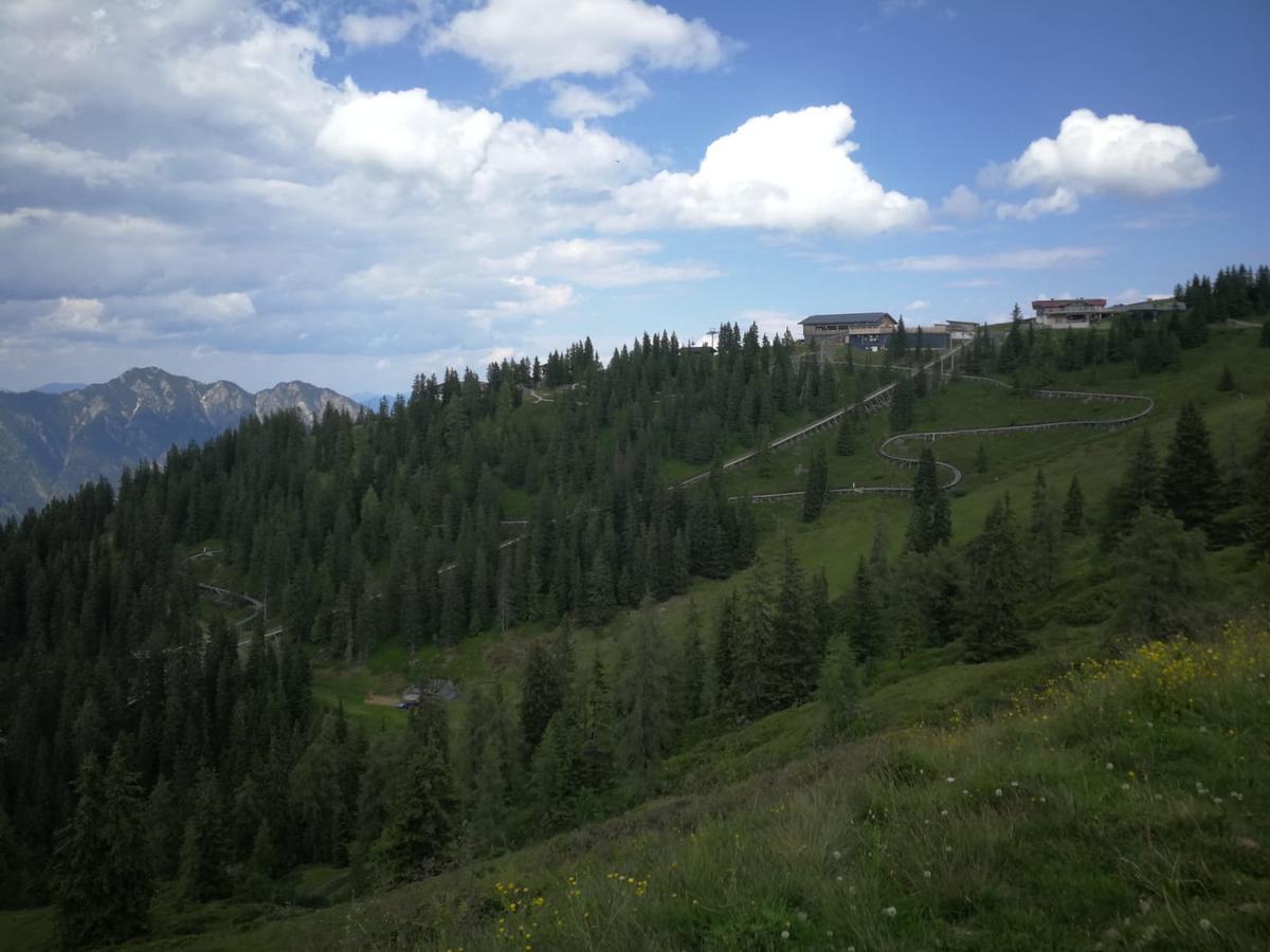 Alpbachblick Daire Dış mekan fotoğraf