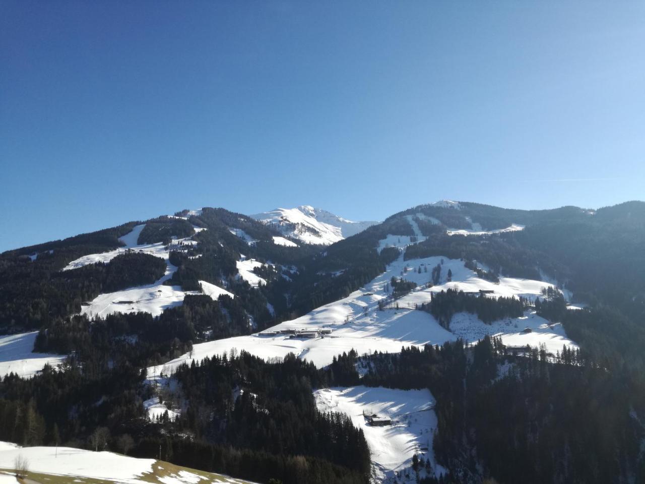 Alpbachblick Daire Dış mekan fotoğraf